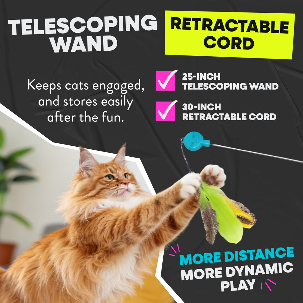 Jackson Galaxy Gotcha! wand during bonding play session to strengthen cat companionship.