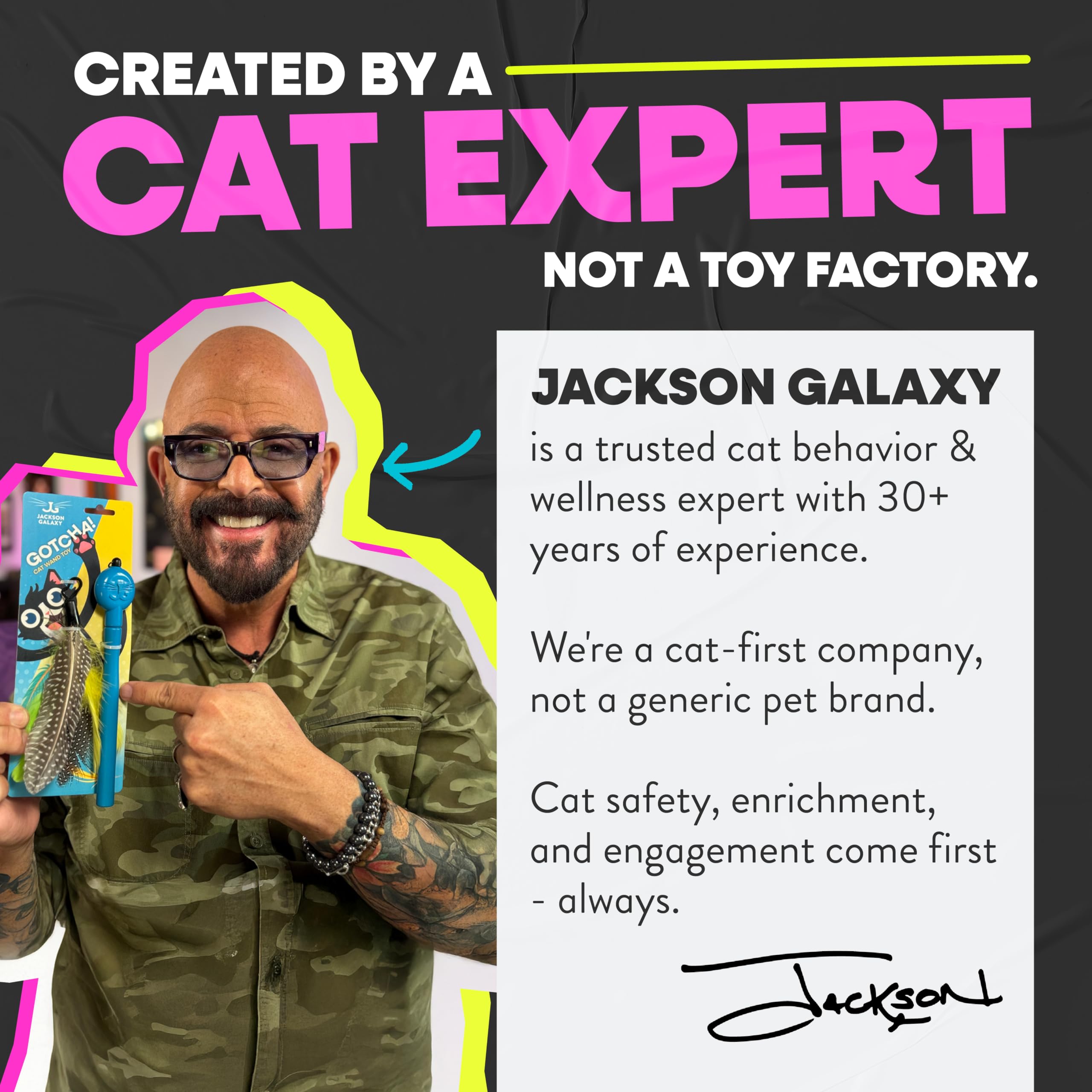 Indoor playtime with Jackson Galaxy Gotcha! wand encourages exercise and focus.