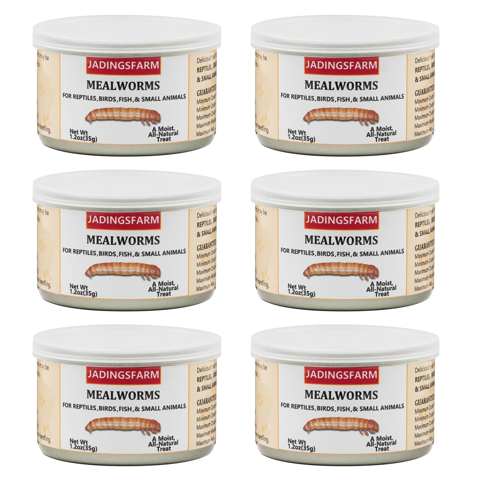 JADINGSFARM 6-pack canned mealworms for reptiles and birds, convenient high-protein treat.