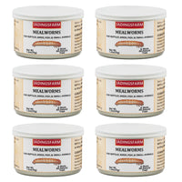 JADINGSFARM 6-pack canned mealworms for reptiles and birds, convenient high-protein treat.