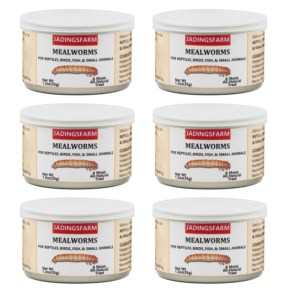 JADINGSFARM 6-pack canned mealworms for reptiles and birds, convenient high-protein treat.
