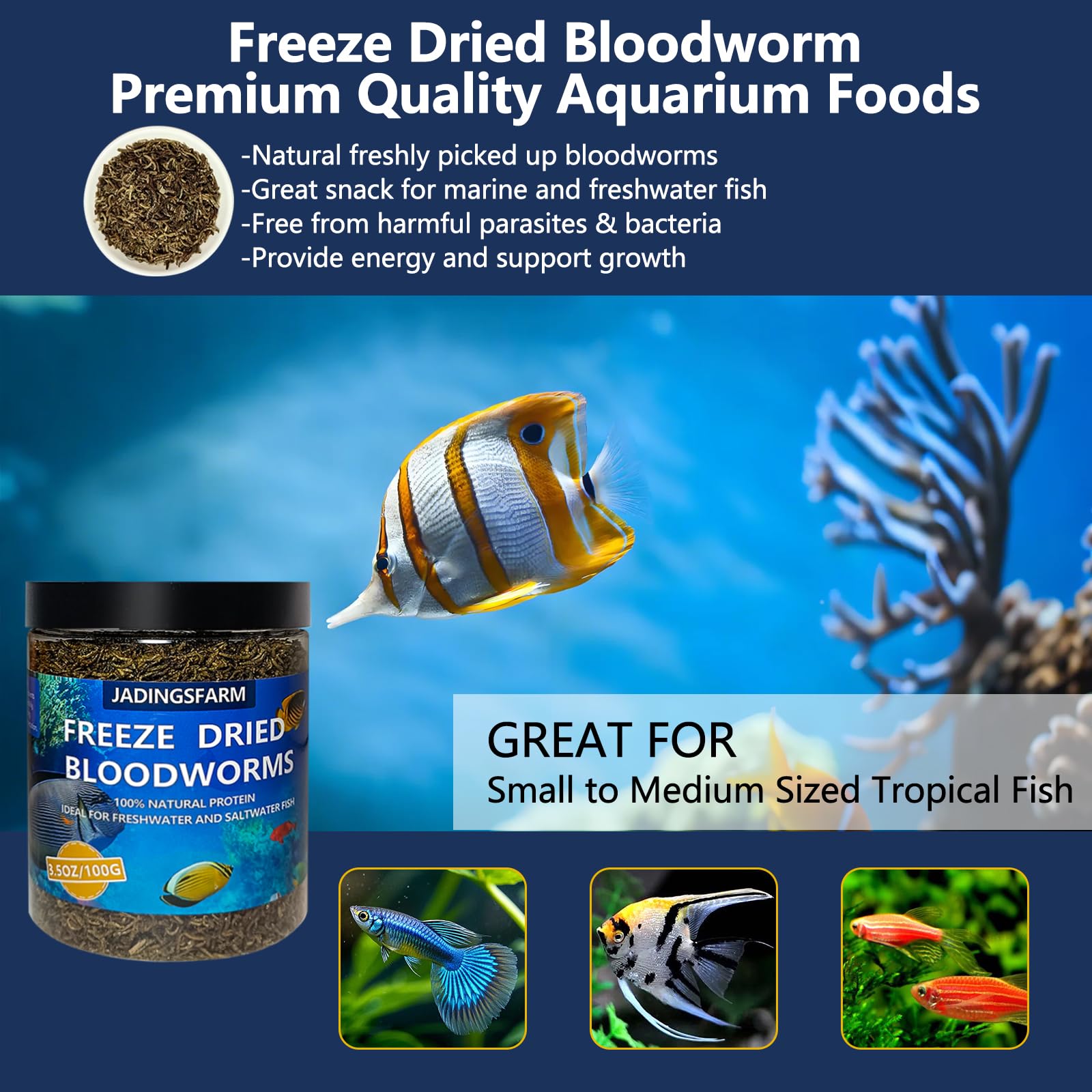 Aquarium scene with diverse fish ready to eat JADINGSFARM blood worms.