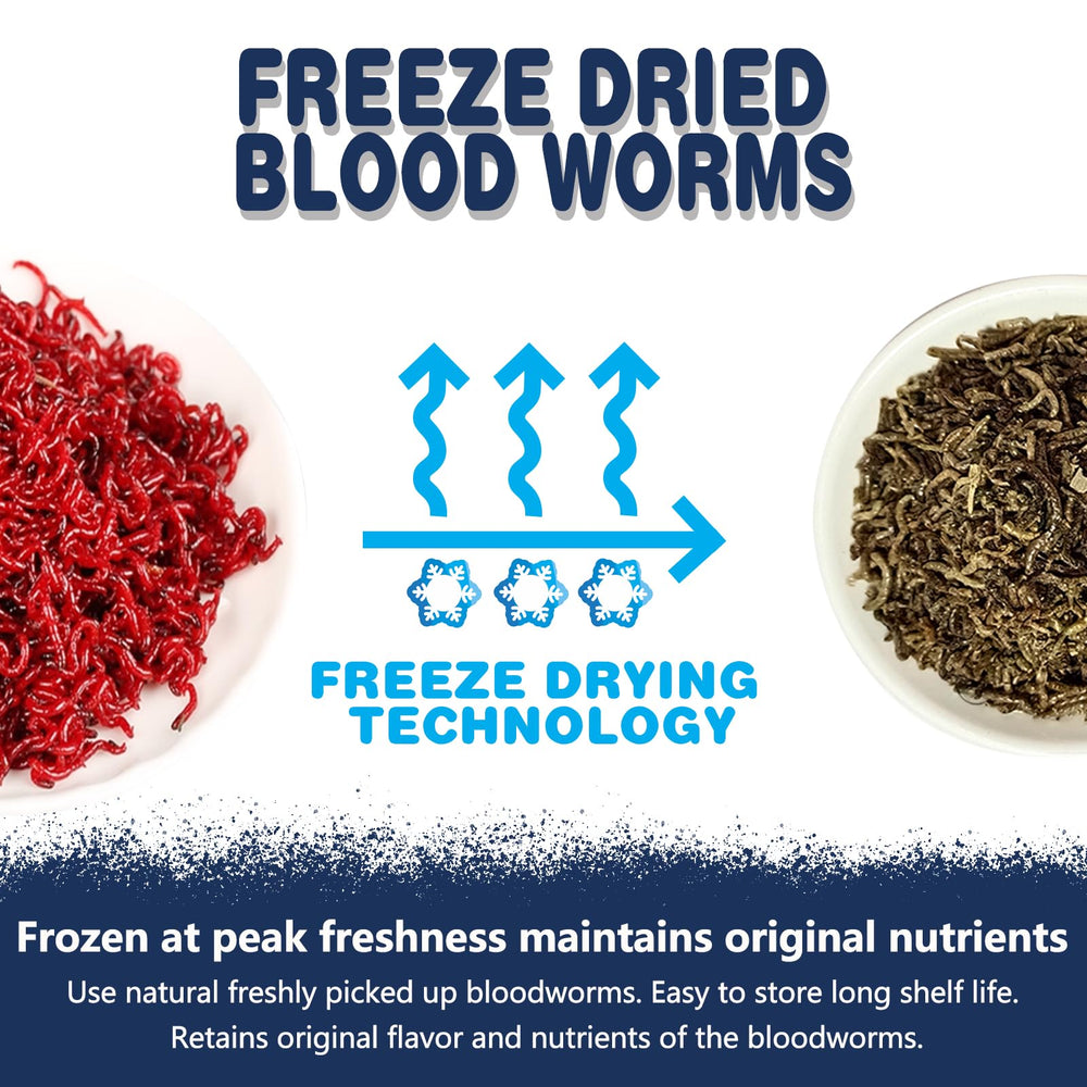 JADINGSFARM bloodworms close-up showing natural, additive-free nutrition for aquarium fish