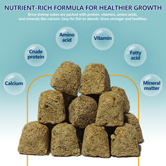 JADINGSFARM Brine Shrimp Cubes suit multi species aquariums.