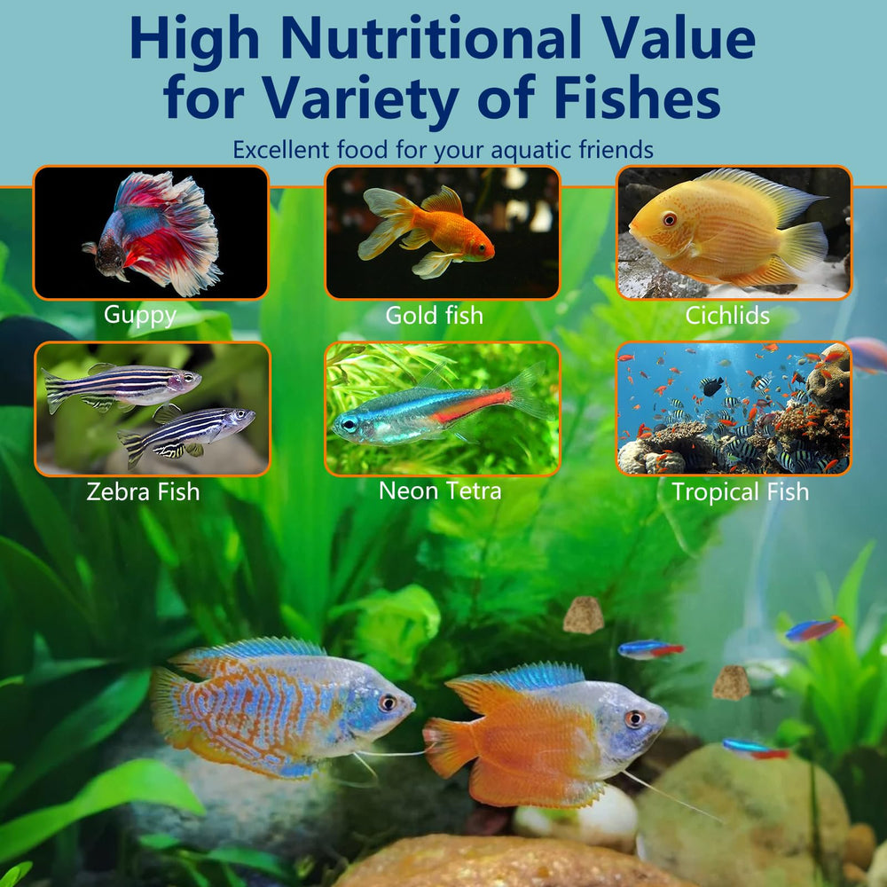 JADINGSFARM Brine Shrimp Cubes support koi and tropical fish health.