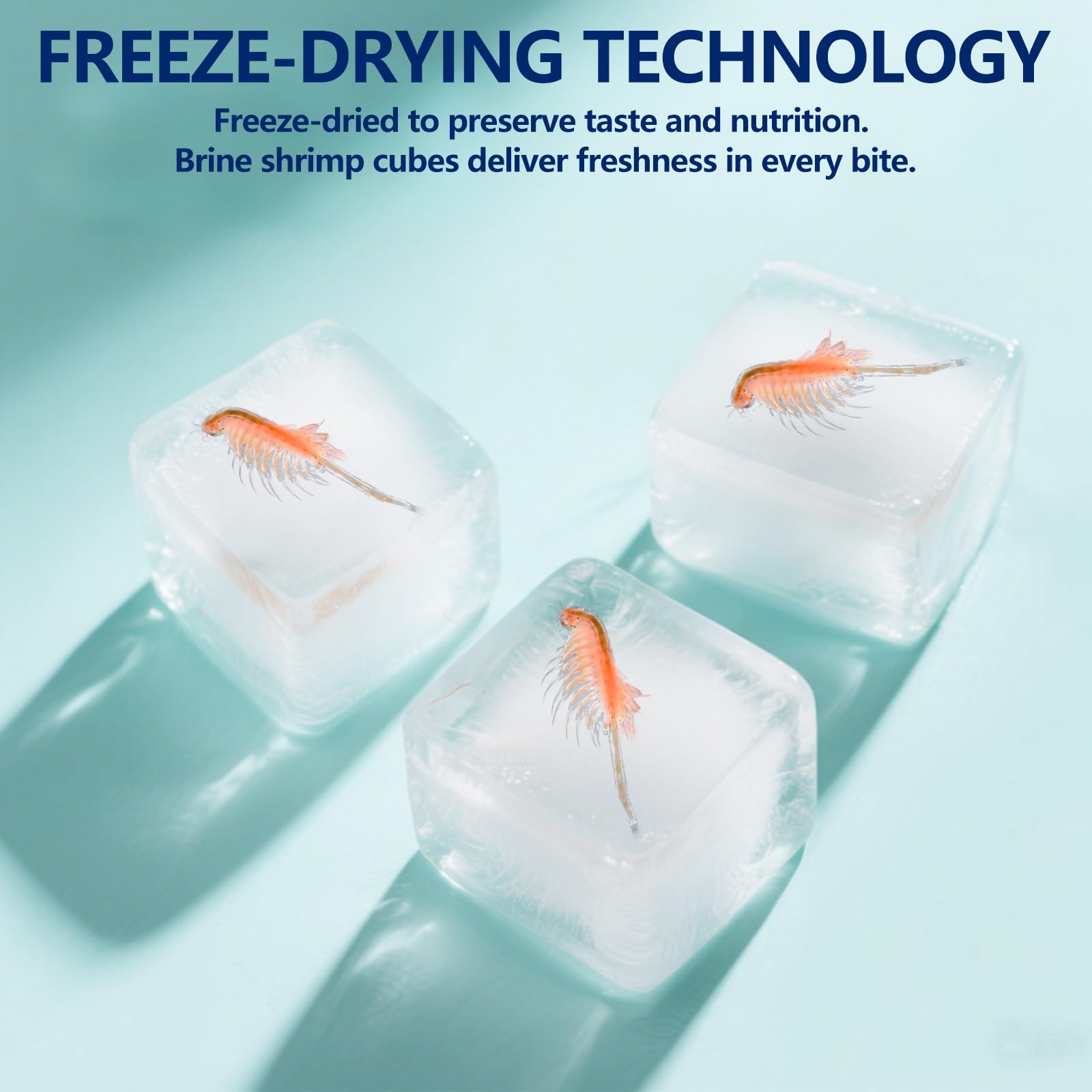 JADINGSFARM Brine Shrimp Cubes airtight packaging preserves freshness.