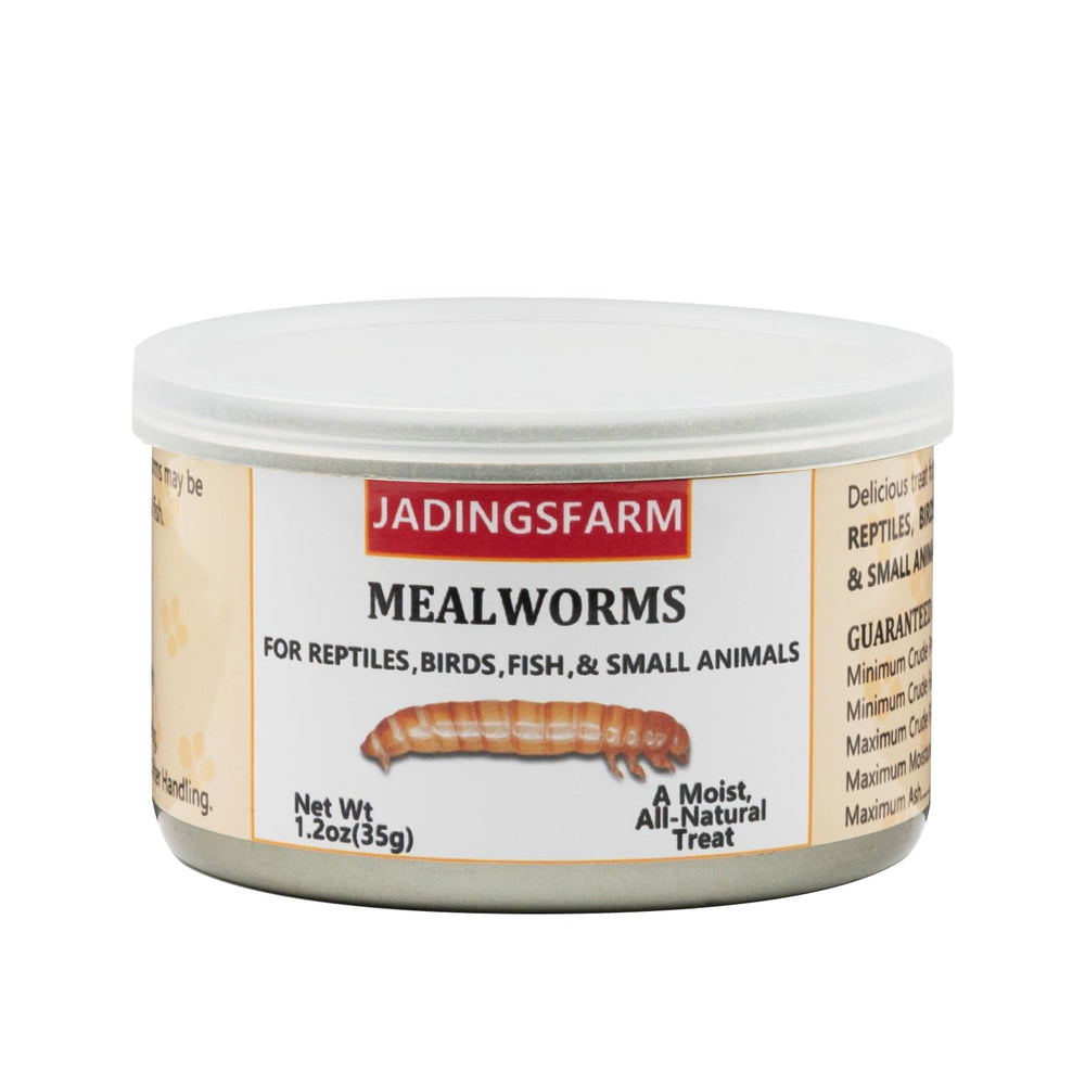 JADINGSFARM canned mealworms close-up, showing moist texture ideal for a quick protein-rich pet treat.