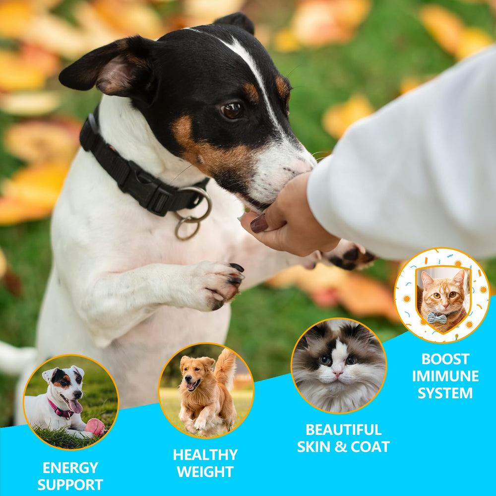 JADINGSFARM crunchy texture supports safe dental-focused chewing and satisfaction.