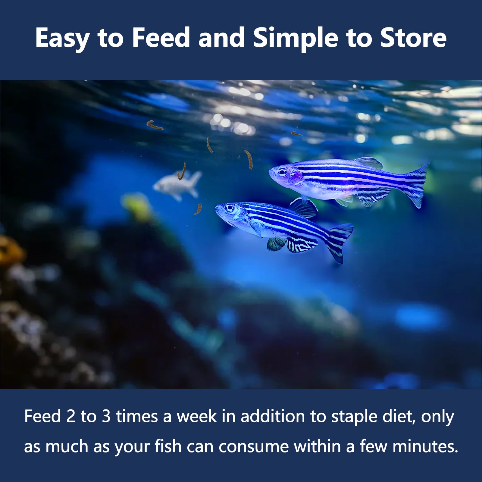 JADINGSFARM easy storage packaging preserves peak freshness of bloodworms