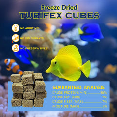 JADINGSFARM Floating fish food cubes feeding at the water surface