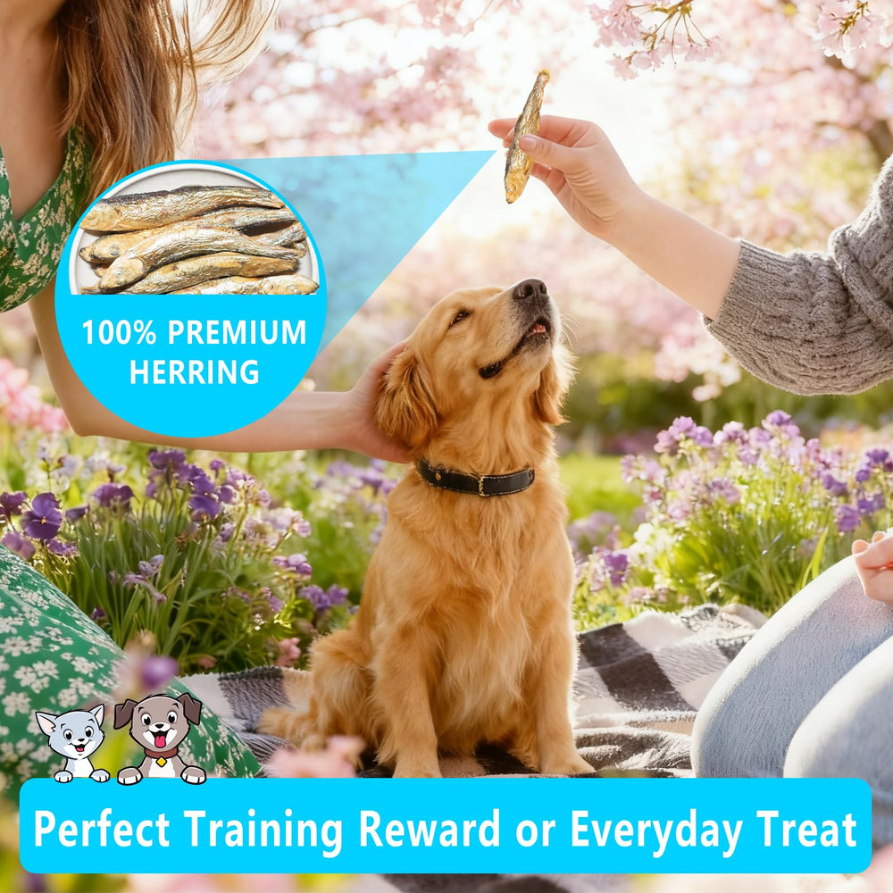 JADINGSFARM freeze-dried herring bites, high-protein crunch for dogs and cats.