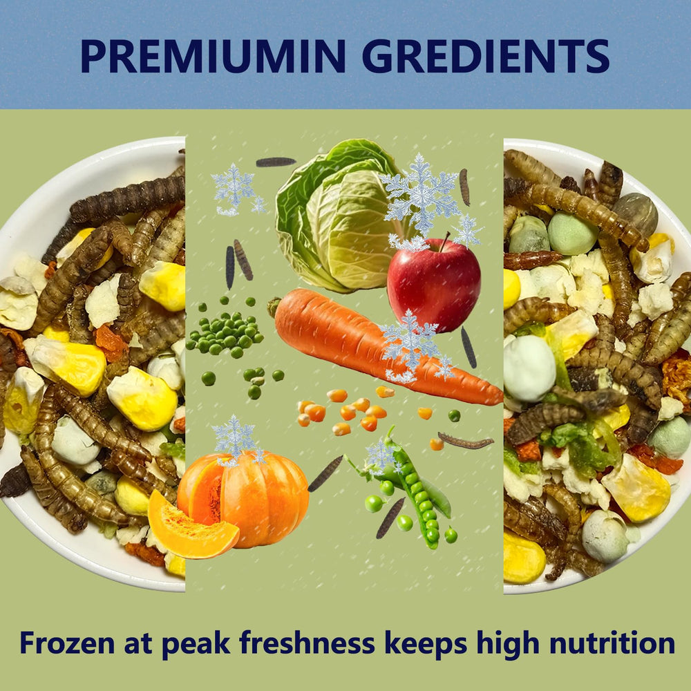 JADINGSFARM Hermit Crab Food BSF larvae close-up showcases sustainable protein