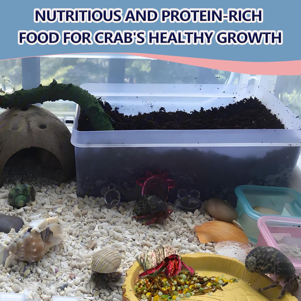 JADINGSFARM Hermit Crab Food eating scene demonstrates daily feeding possibilities