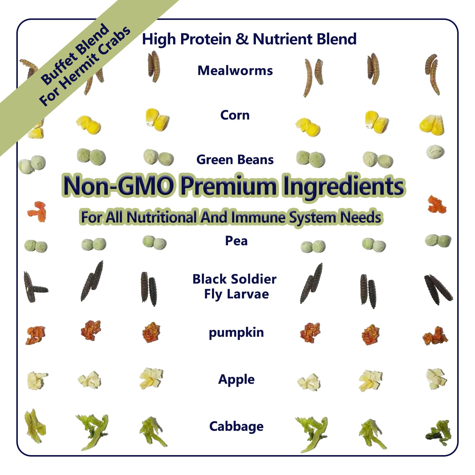 JADINGSFARM Hermit Crab Food ingredients with mealworms and BSF larvae in tray