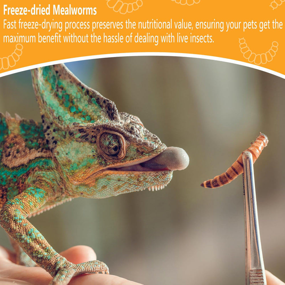 JADINGSFARM mealworms for bird enrichment and foraging.
