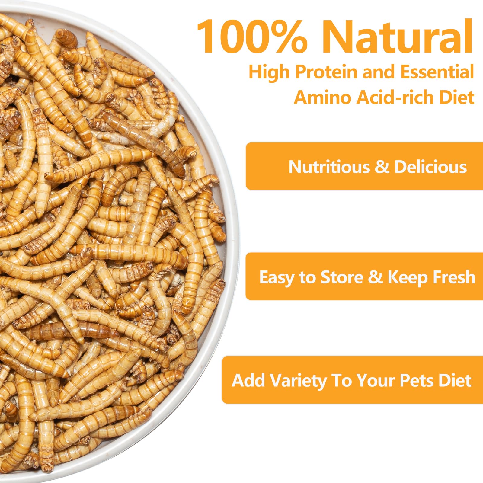 JADINGSFARM mealworms closeup reveals natural crunch for reptiles.