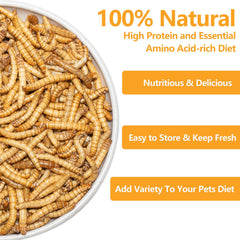 JADINGSFARM mealworms closeup reveals natural crunch for reptiles.