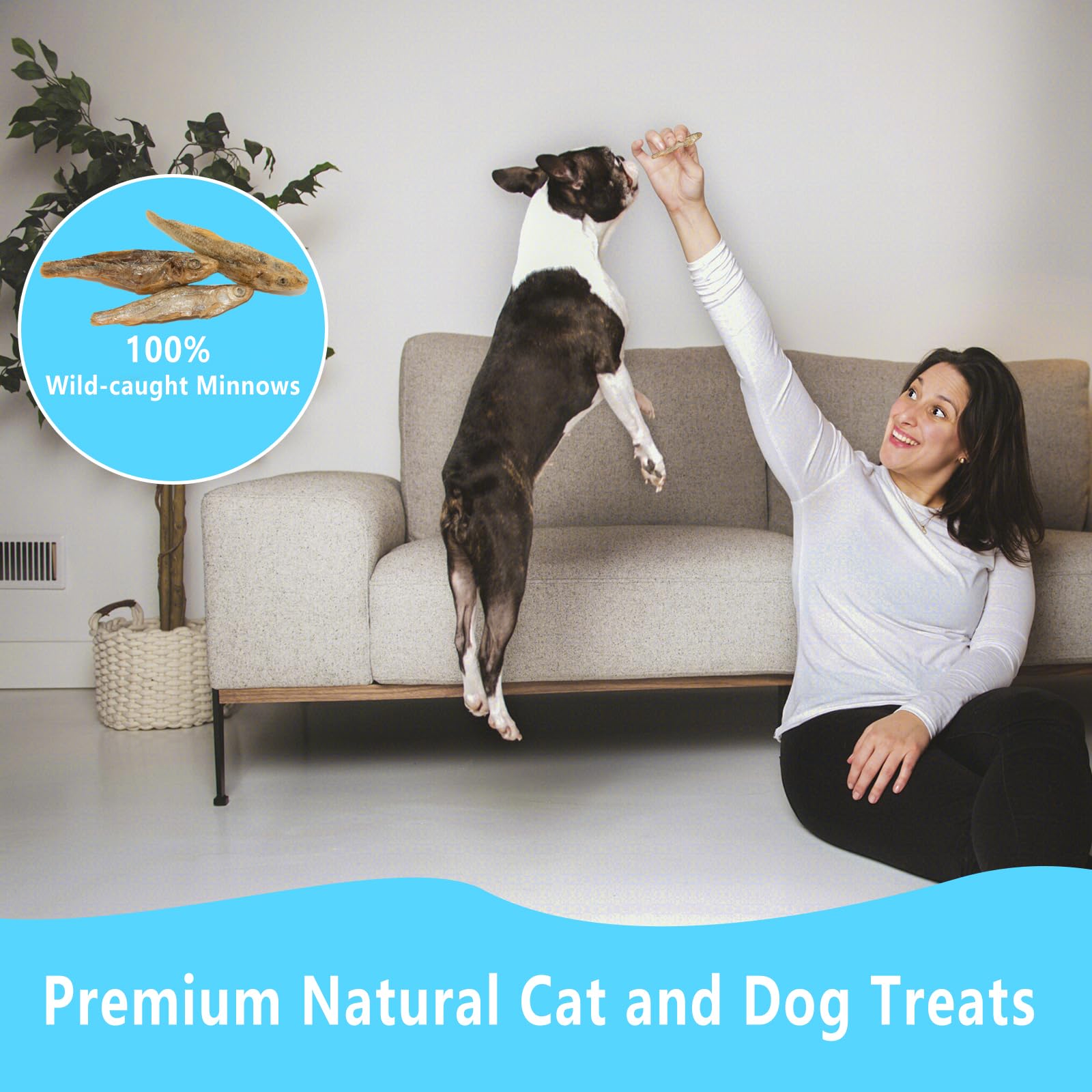 JADINGSFARM Minnows bite-sized pieces ideal for pets of all sizes
