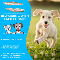 JADINGSFARM Minnows high-protein bite great for training rewards