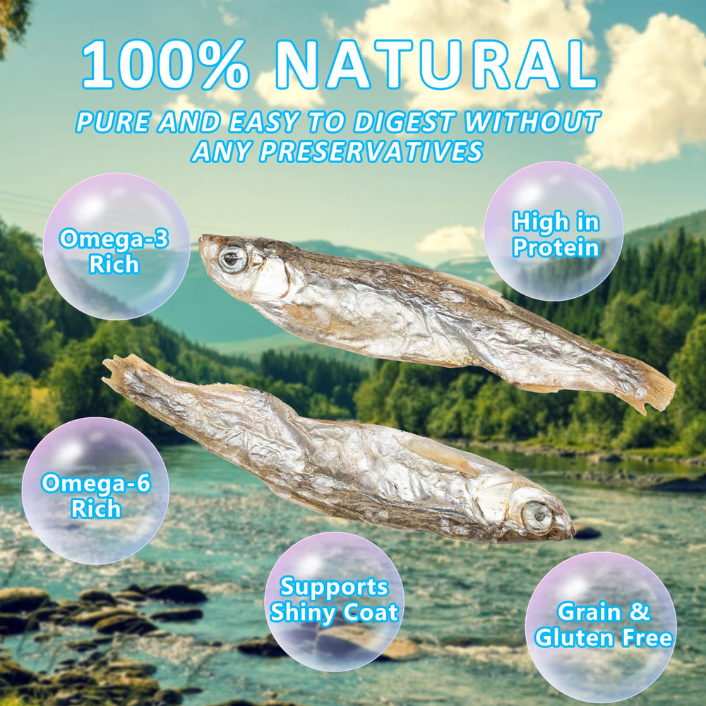 Sustainably sourced JADINGSFARM Minnows for grain-free feeding