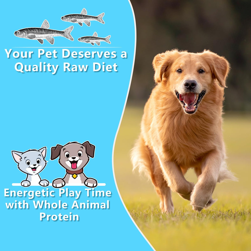 JADINGSFARM Minnows high-protein minerals — calcium and omega-3 included for nutrition.