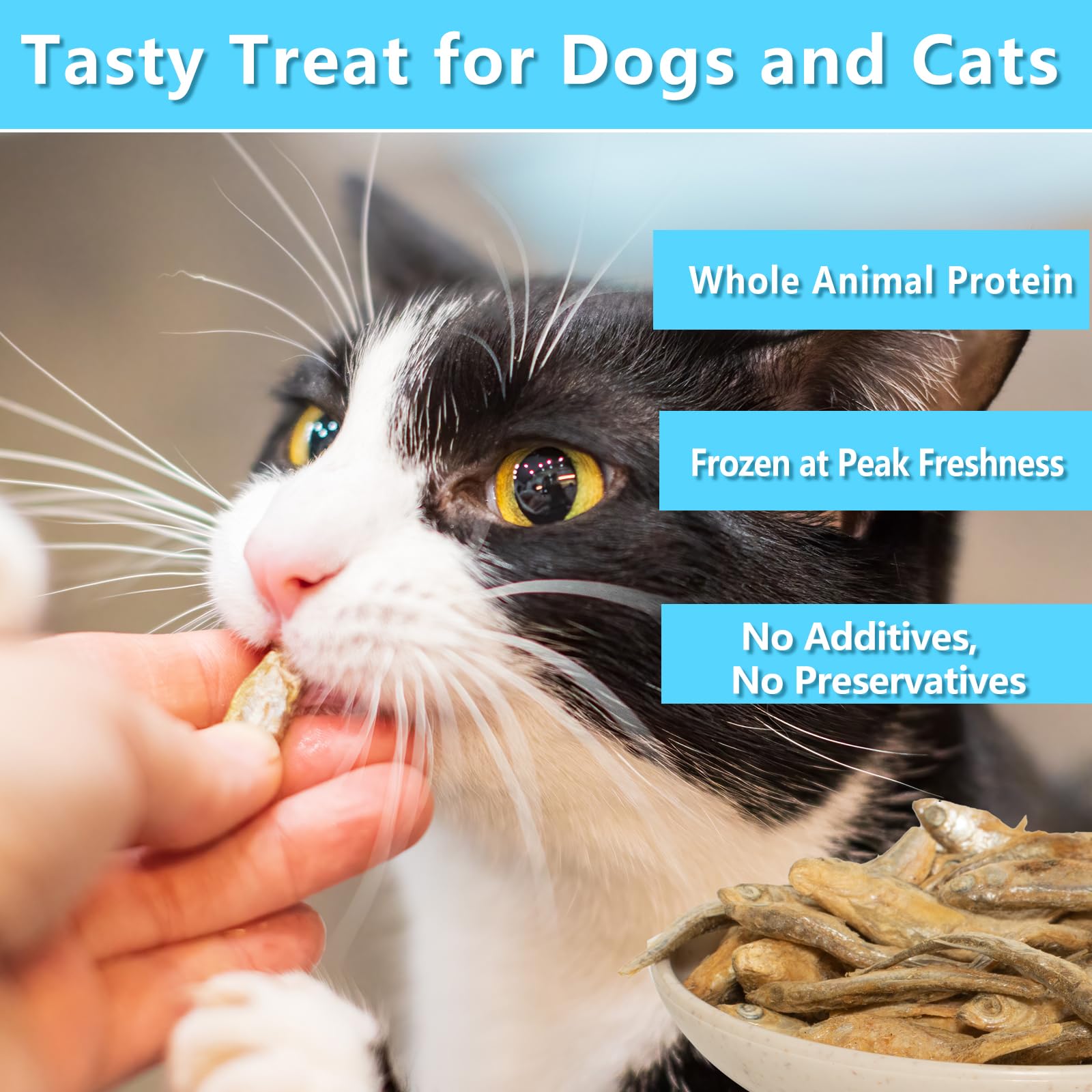 JADINGSFARM Minnows natural wild-caught — premium protein for daily treats.