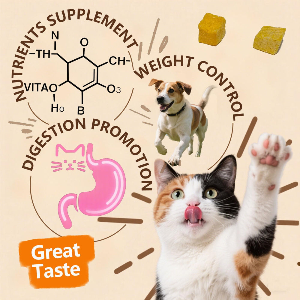 JADINGSFARM pumpkin cat treats closeup for bite-sized nutrition.