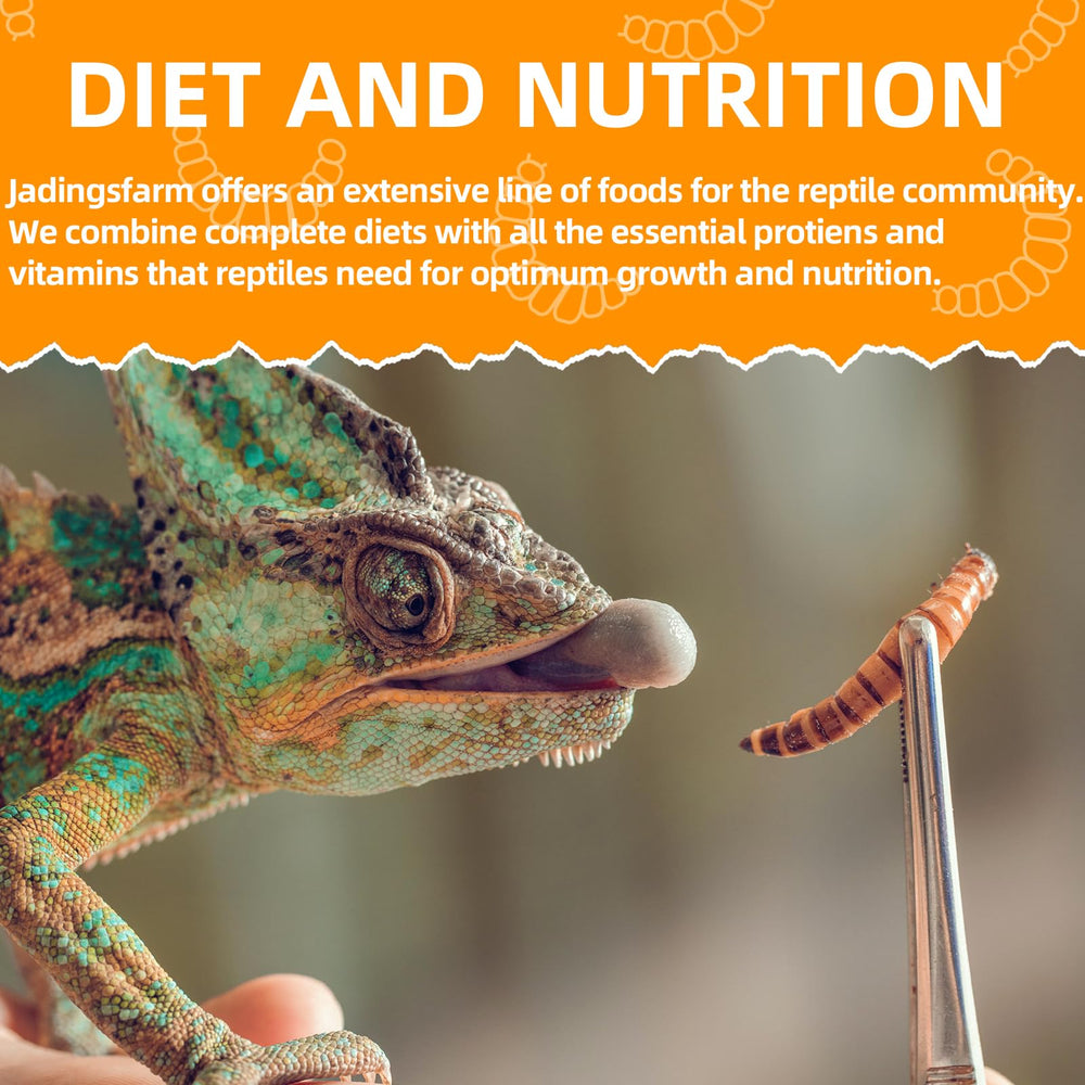 JADINGSFARM refrigerate after opening, keeps mealworms fresh for pets between meals.