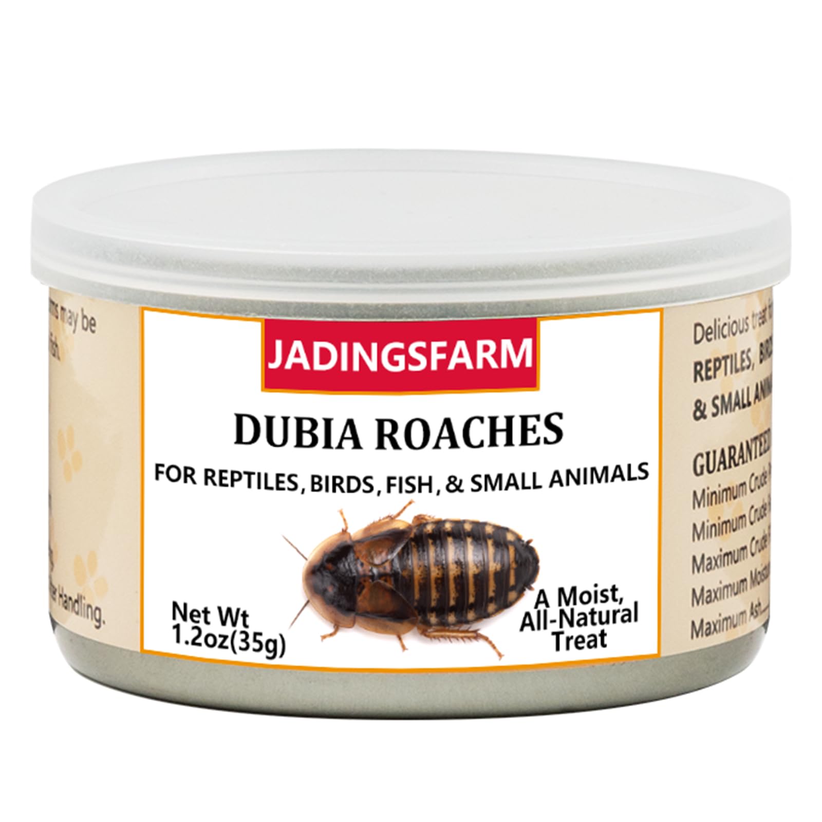JADINGSFARM sealed can of dubia roaches preserving freshness for reptiles