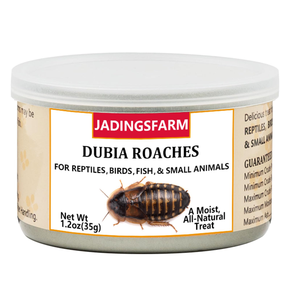 JADINGSFARM sealed can of dubia roaches preserving freshness for reptiles