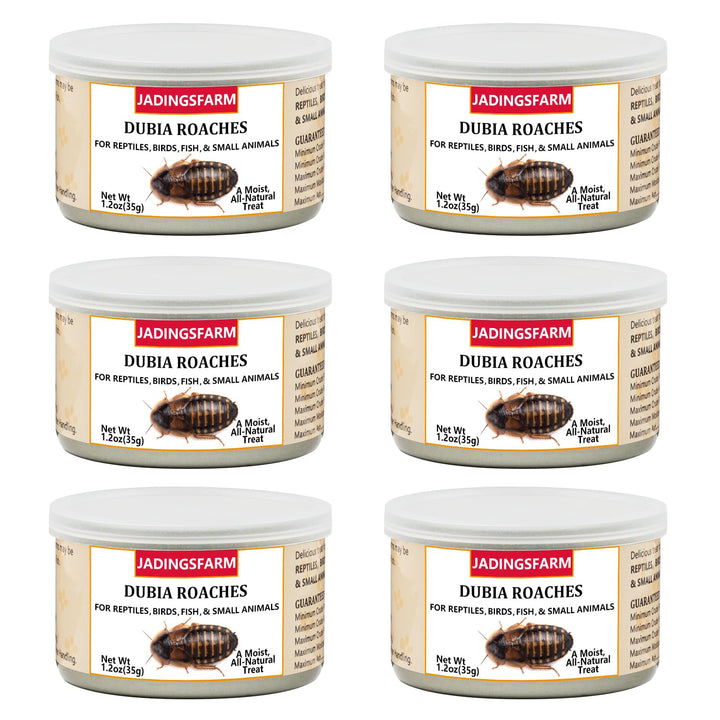 JADINGSFARM six-pack can of dubia roaches for convenient pet feeding