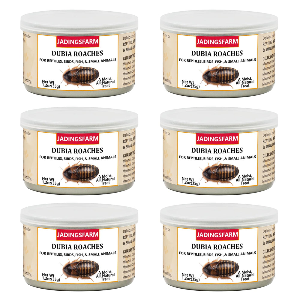 JADINGSFARM six-pack can of dubia roaches for convenient pet feeding
