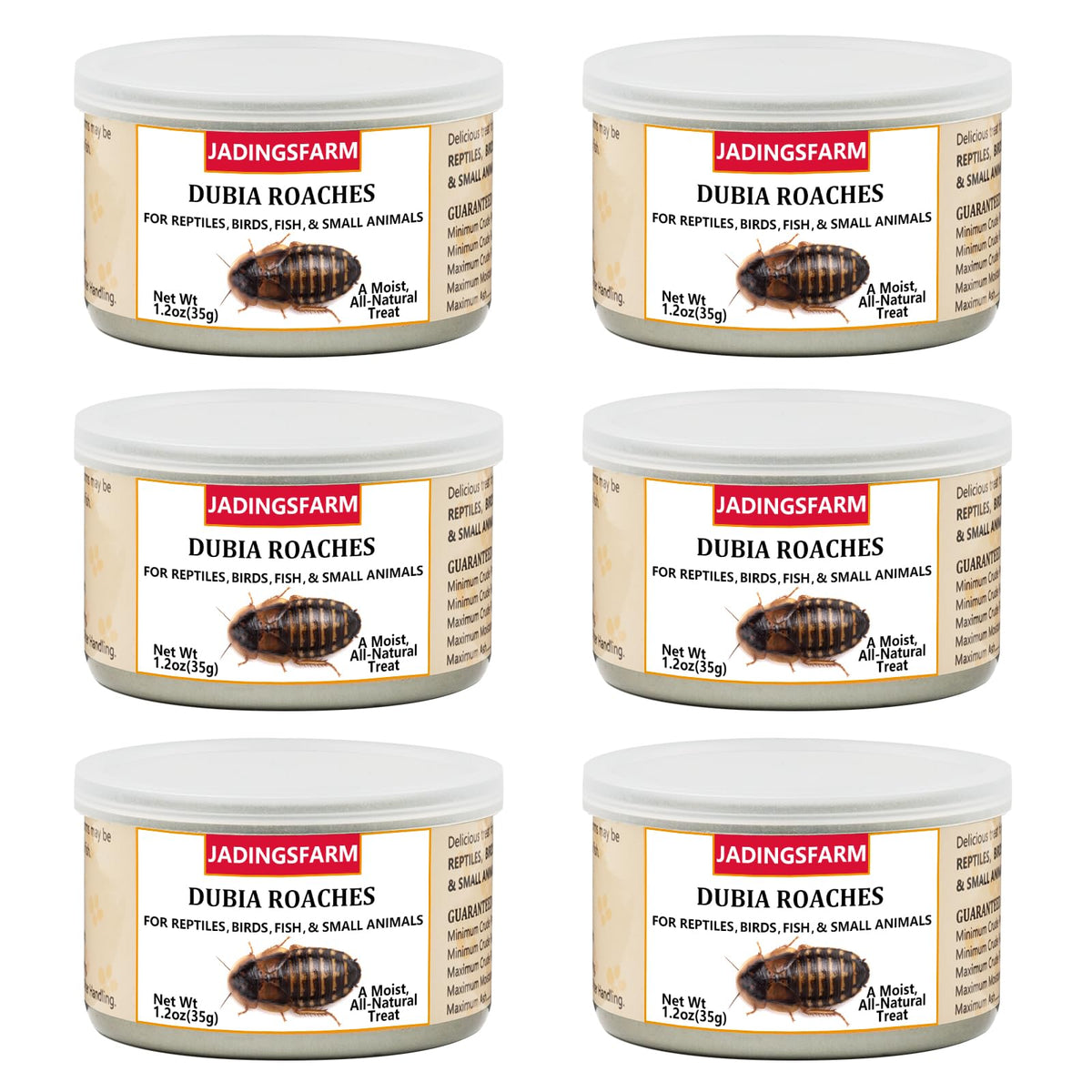 JADINGSFARM six-pack can of dubia roaches for convenient pet feeding