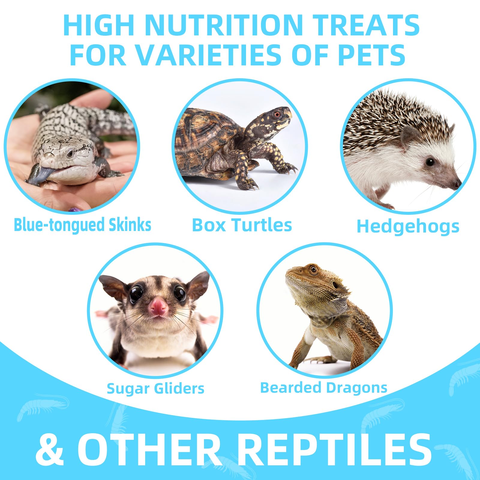 JADINGSFARM versatile pet diet shrimp for turtles, lizards, and fish