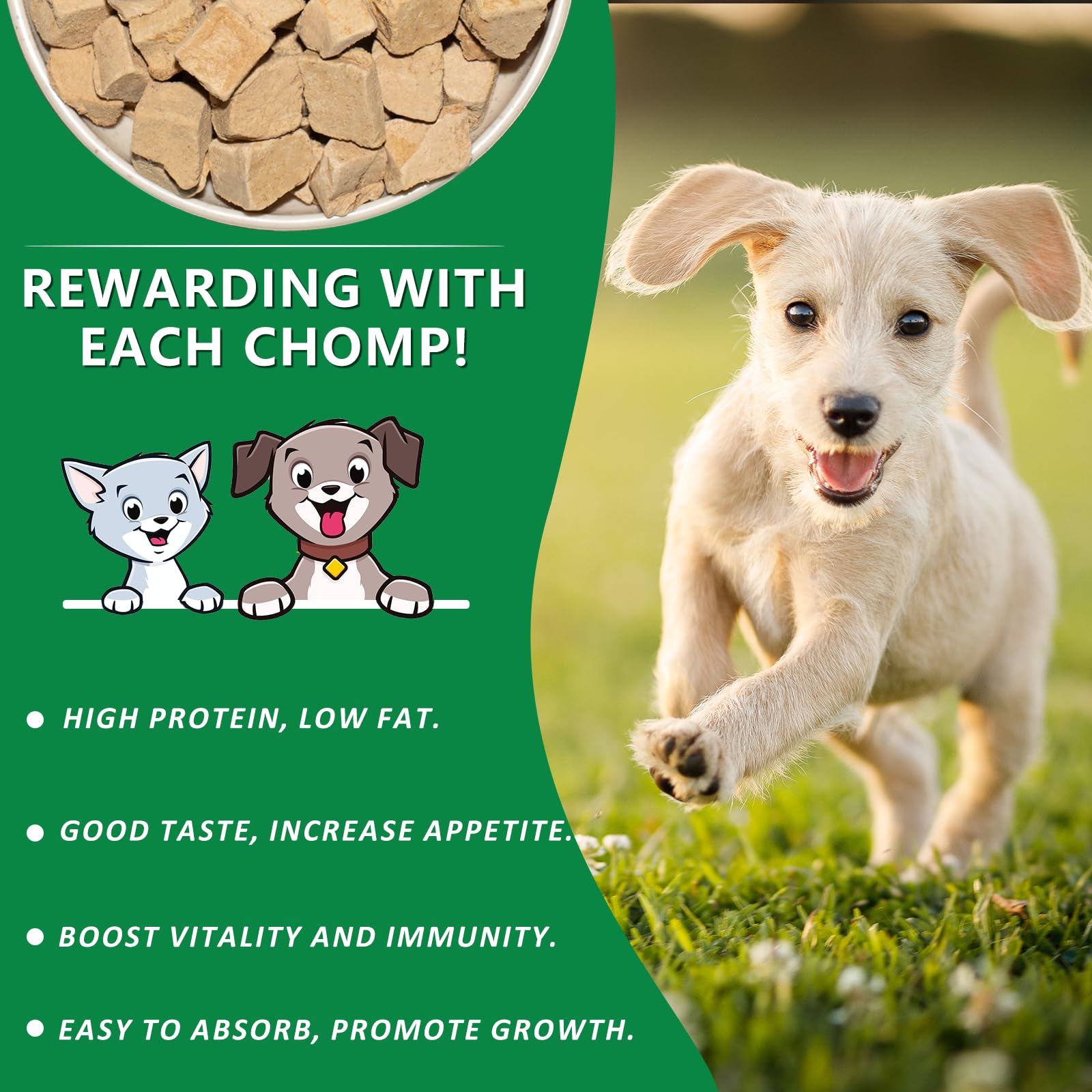 JADINGSFARM training reward cubes for pets