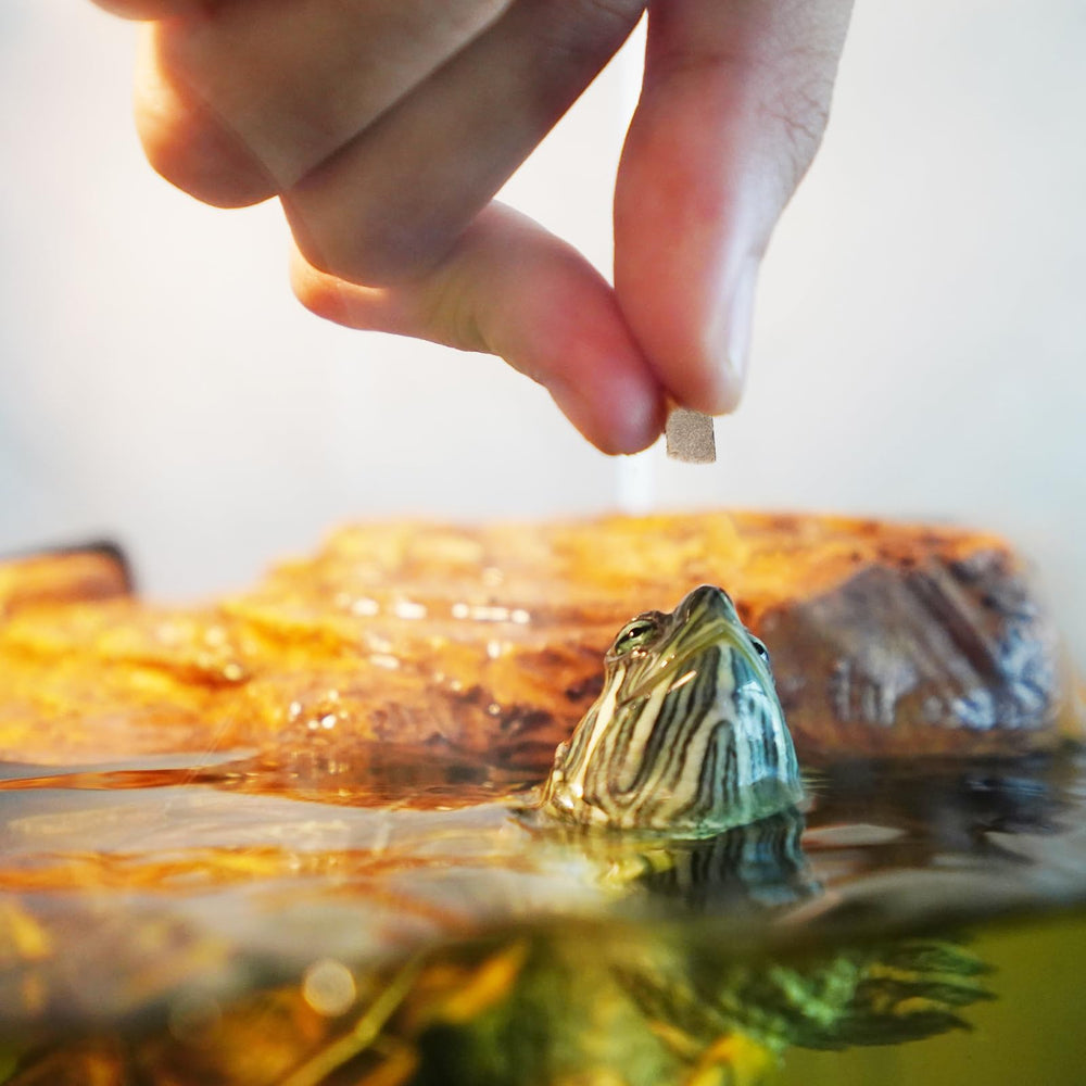 JADINGSFARM Turtle Food suitable for juvenile aquatic turtles and hatchlings.
