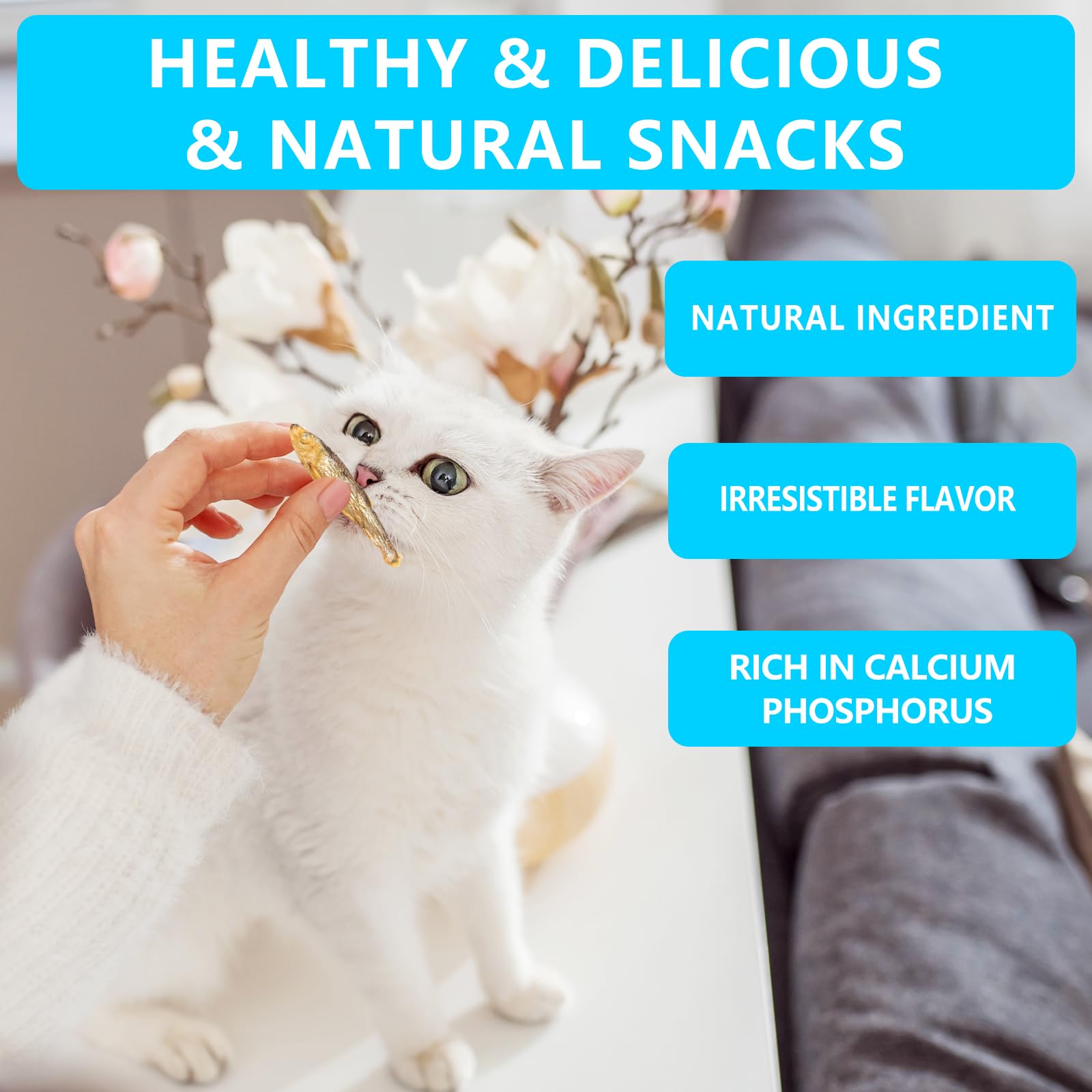 JADINGSFARM wild-caught herring illustration highlights pure, grain-free protein source.