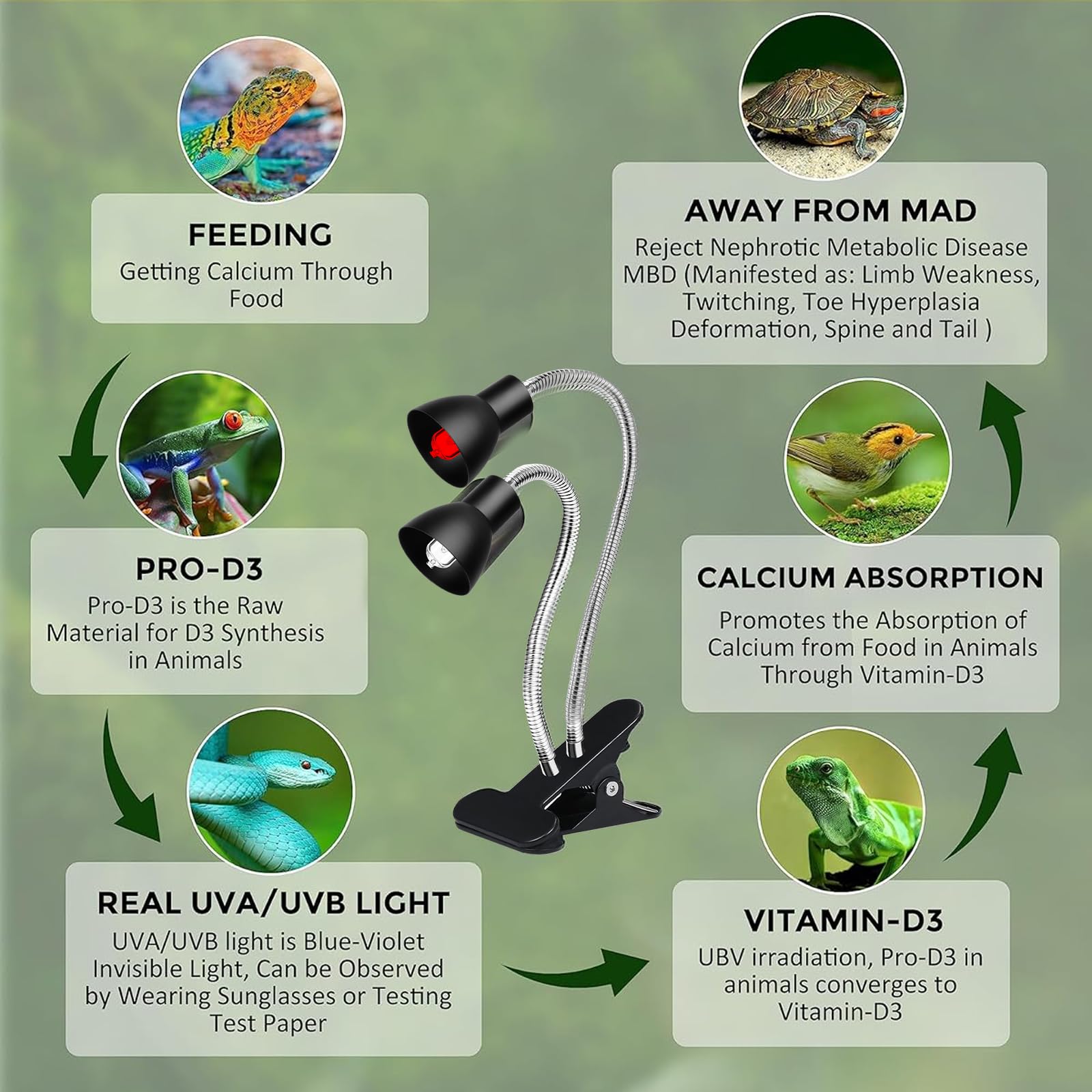 Jaenmsa heat lamp timer and brightness controls for customizable care.
