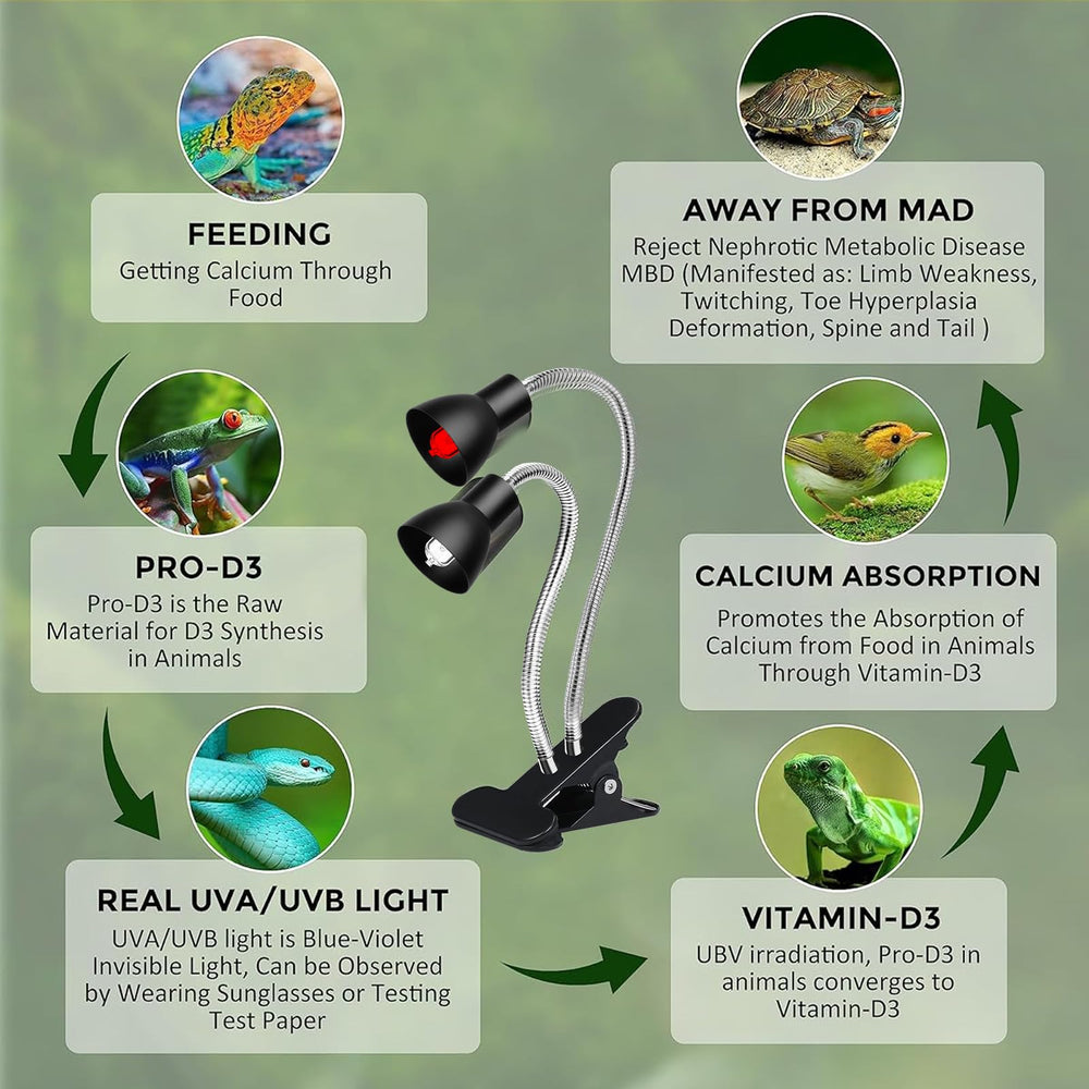 Jaenmsa heat lamp timer and brightness controls for customizable care.