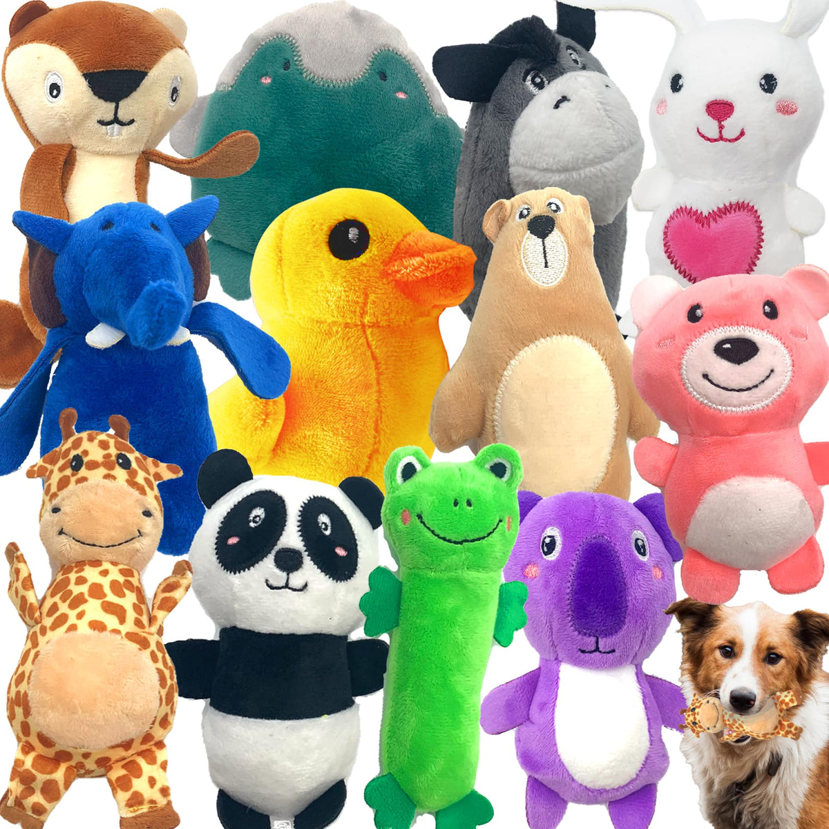Jalousie 12 pack plush dog toys front view showing variety and softness for small to medium dogs