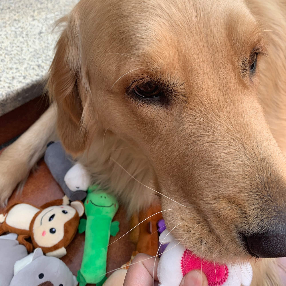 Jalousie squeaky plush toy in use for stress relief during playtime