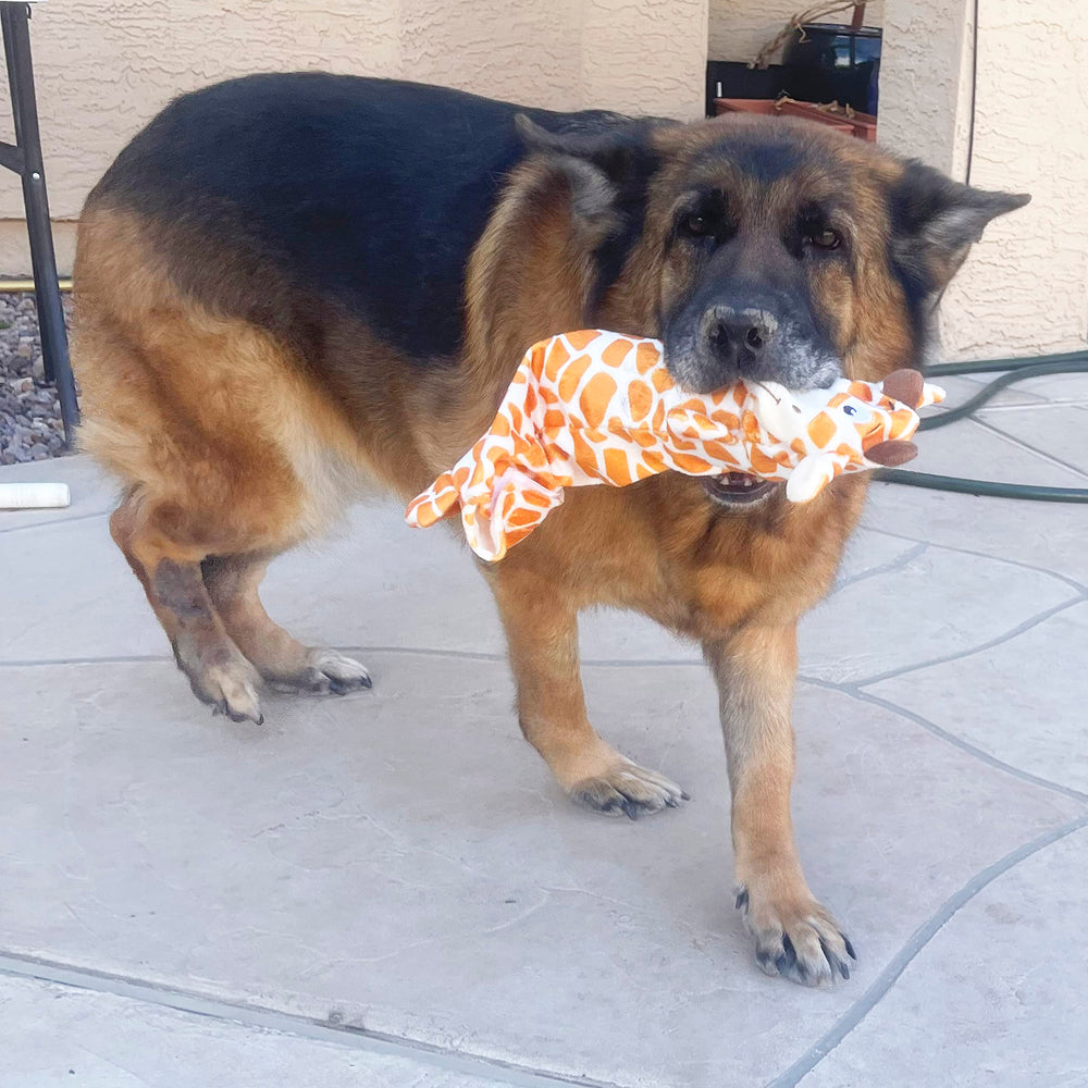 Jalousie 15-inch dog toy ideal for medium to large dogs