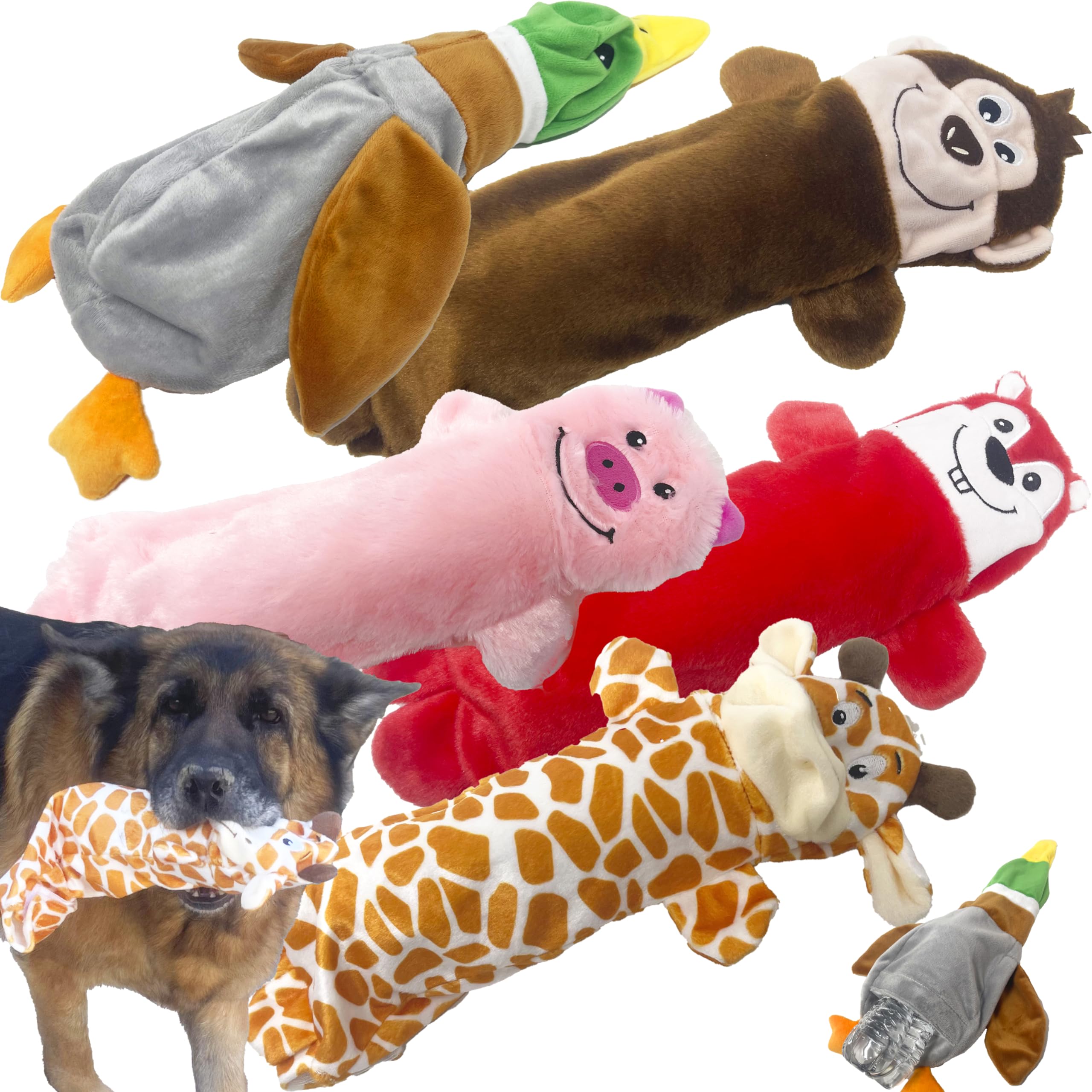 Jalousie bottle insert opening dog toy for interactive play