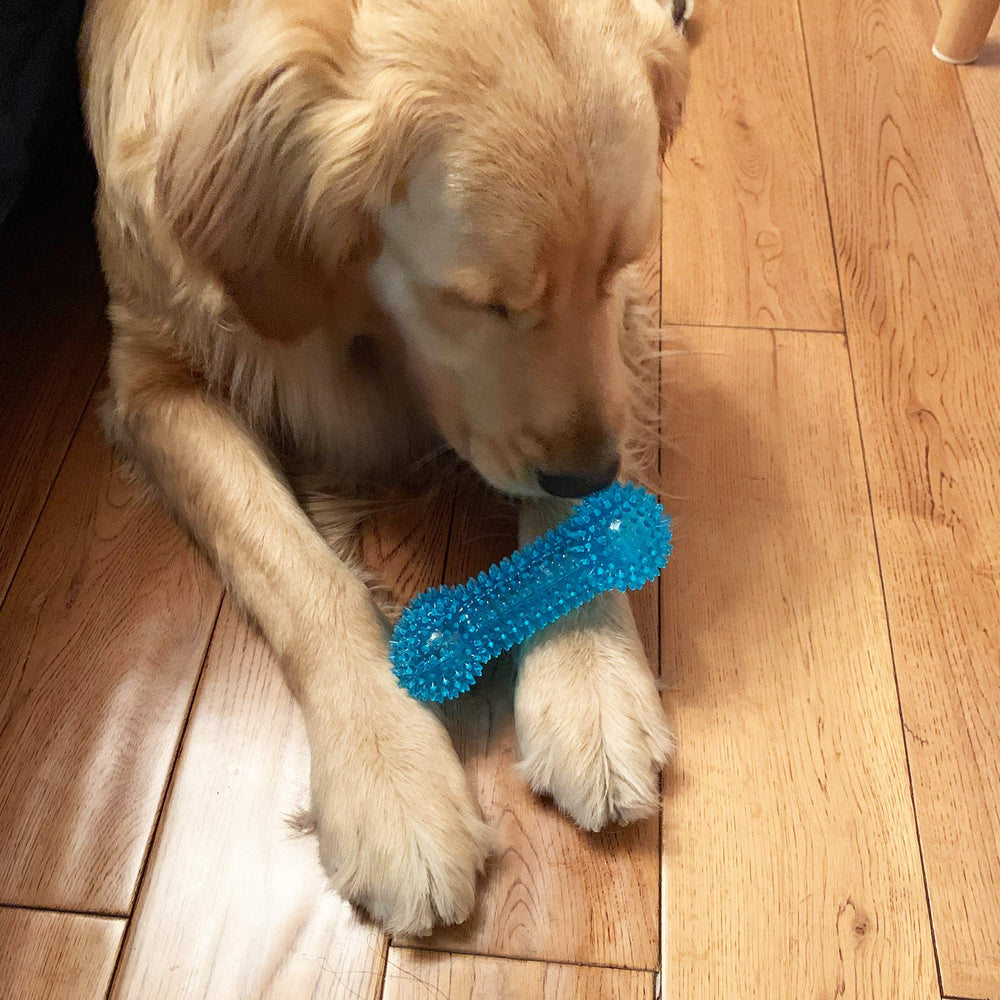 Jalousie colorful dog toy set stimulates scent and play for puppies