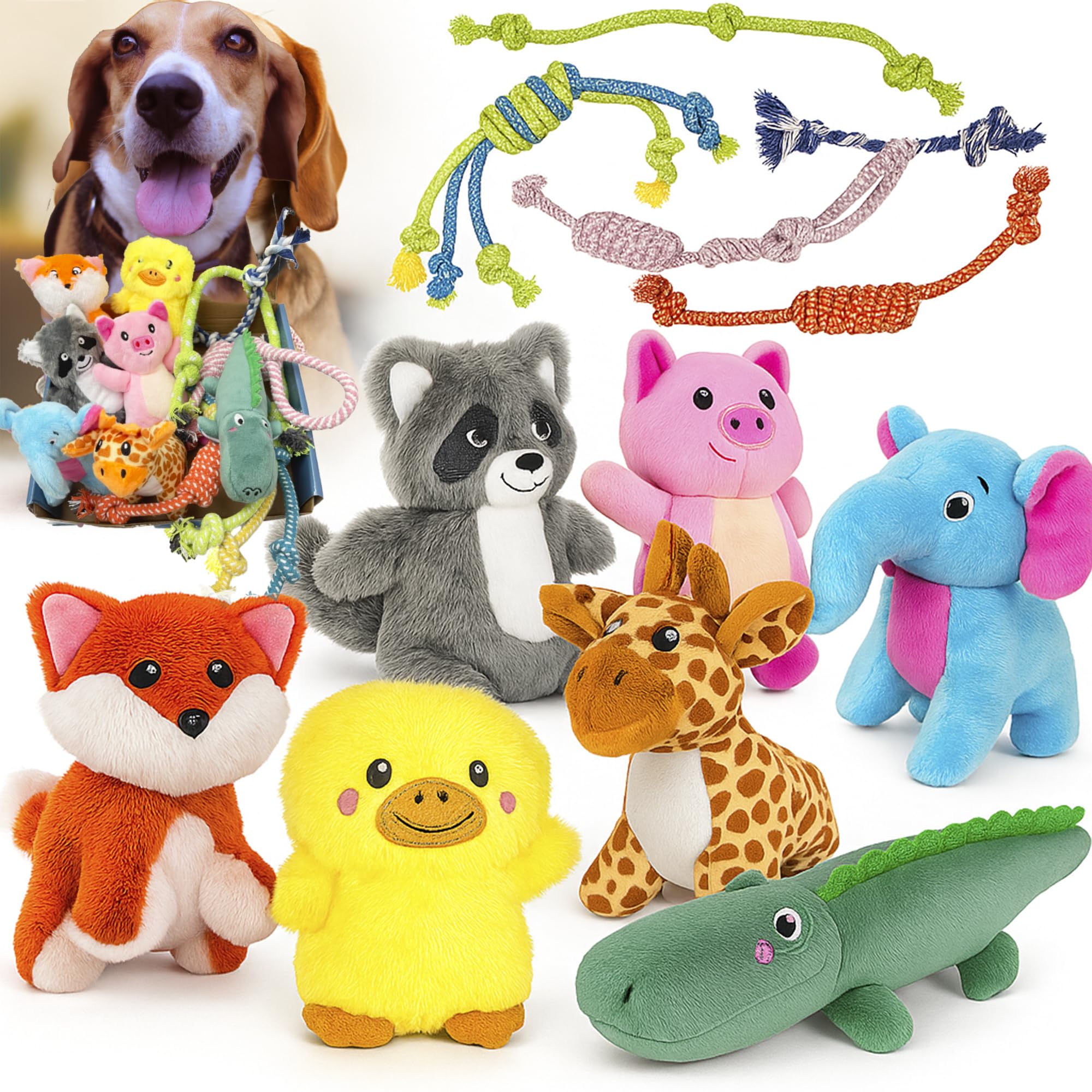 Jalousie dog squeaky toys multipack, inviting interactive play and variety.