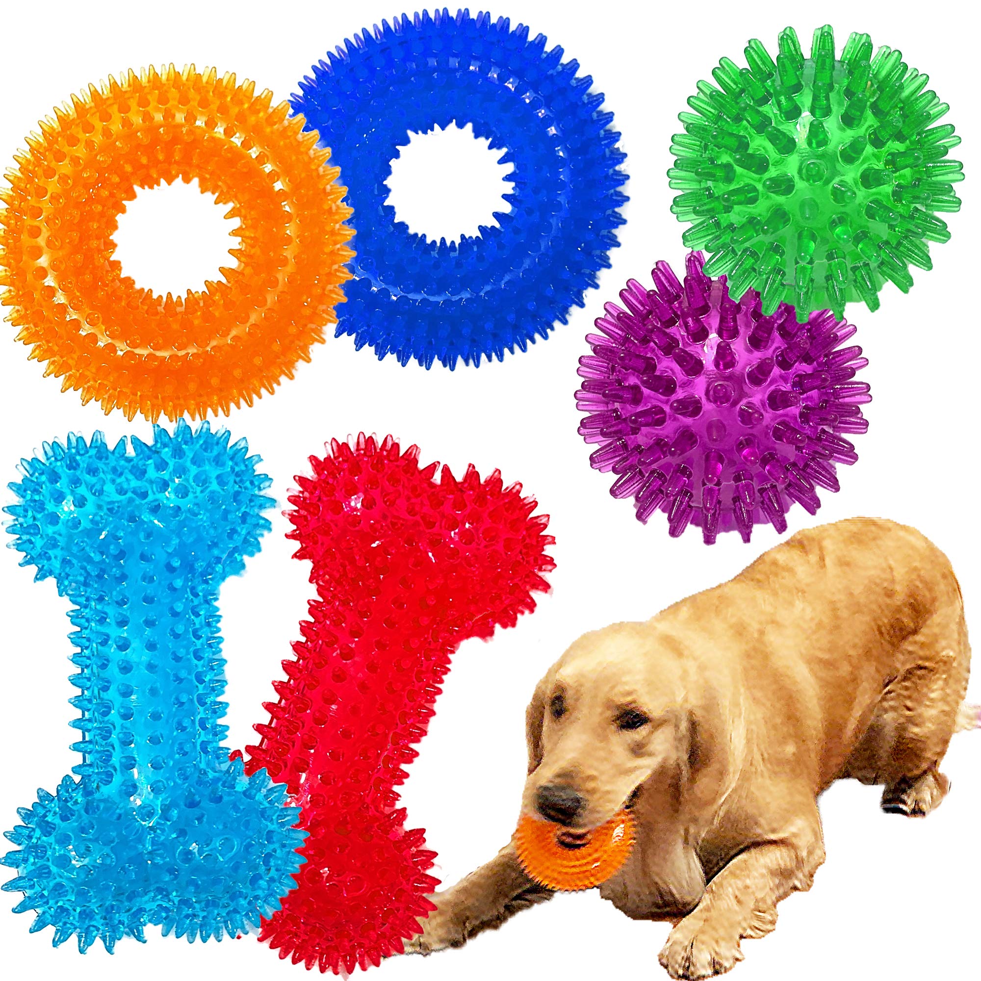Jalousie six-pack squeaky dog toys in vibrant colors for engaging fetch play