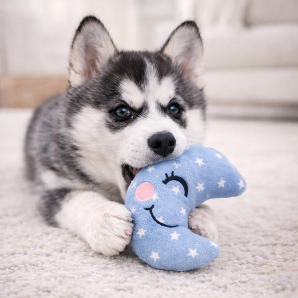 Jalousie dental-friendly chew toys promoting gum massage during play.