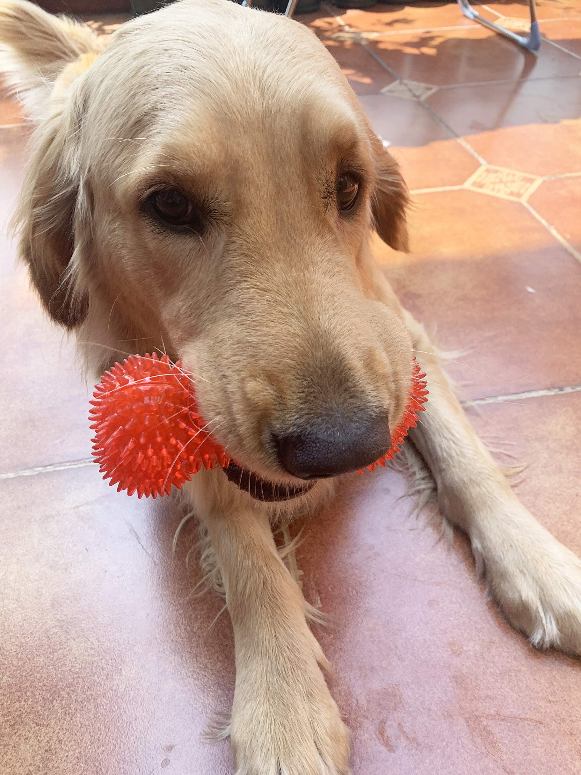 Jalousie durable dog toy pack provides long-lasting entertainment with squeaks