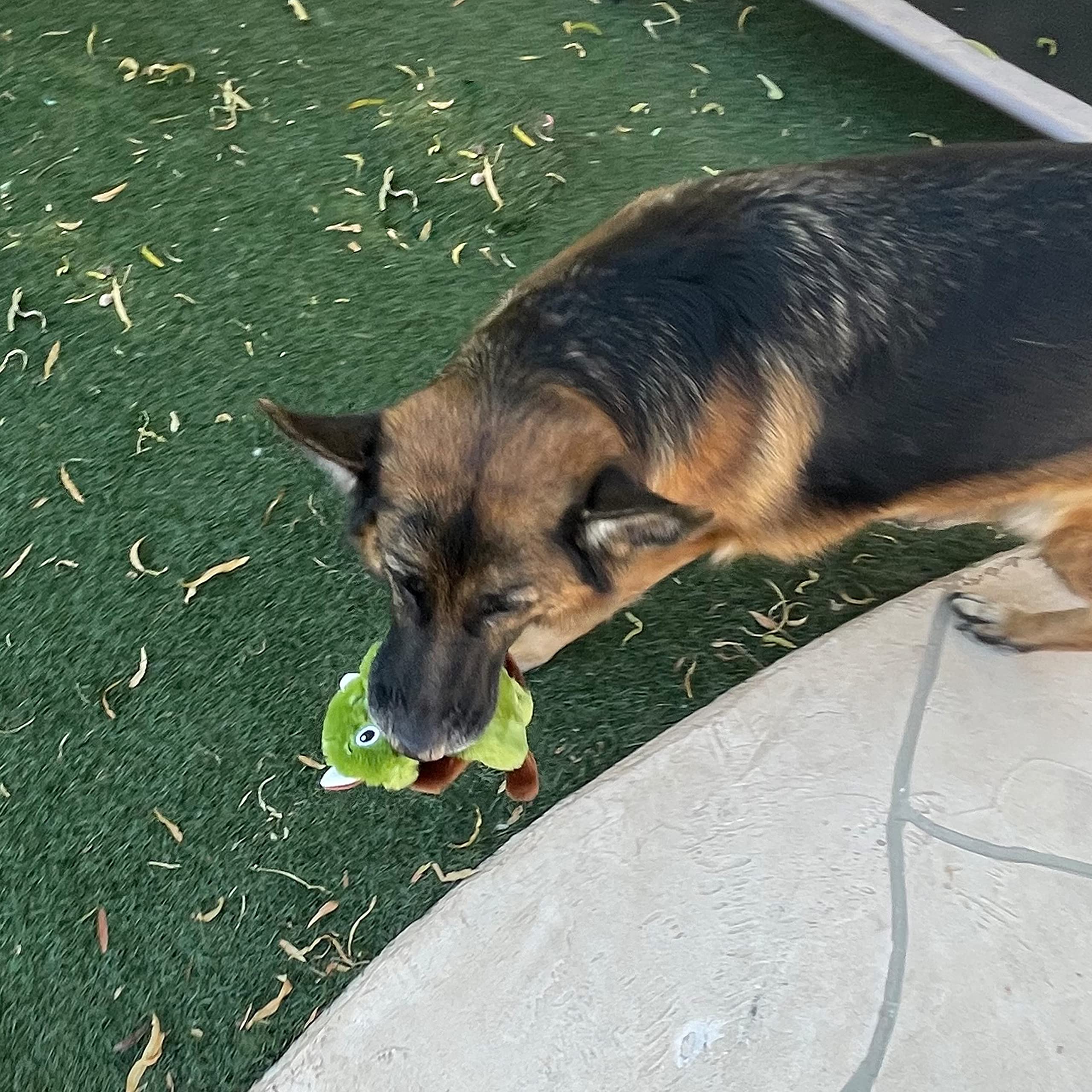 Jalousie durable liner squeaky dog toy with reinforced seams for lasting use.