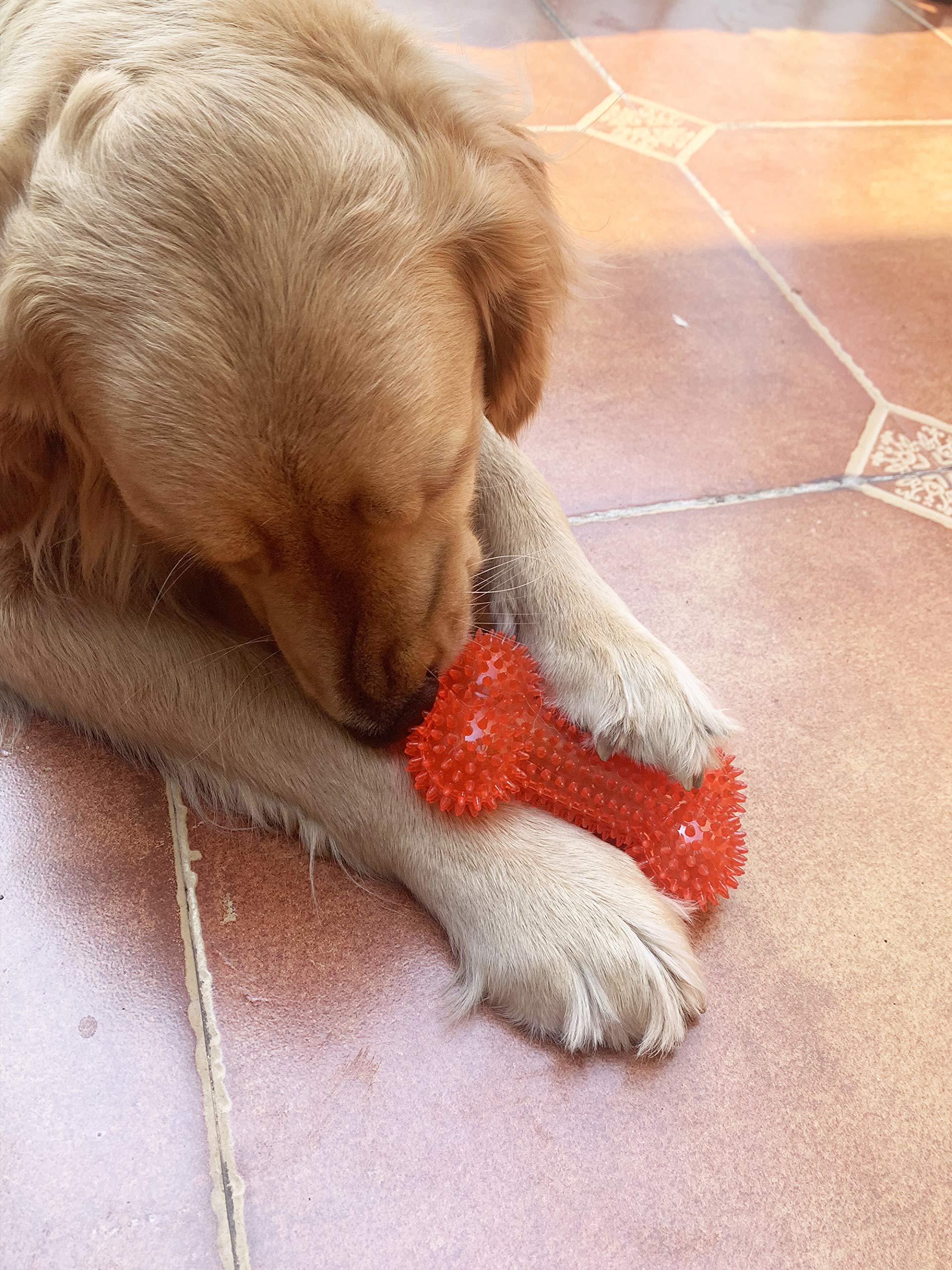 Jalousie easy-clean dog toy makes cleaning after play quick